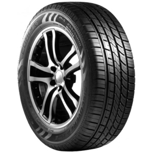 245/55R19 103V EFFICIENTGRIP PERFORMANCE SUV
