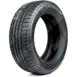 205/55R16 91V Eagle Sport 2